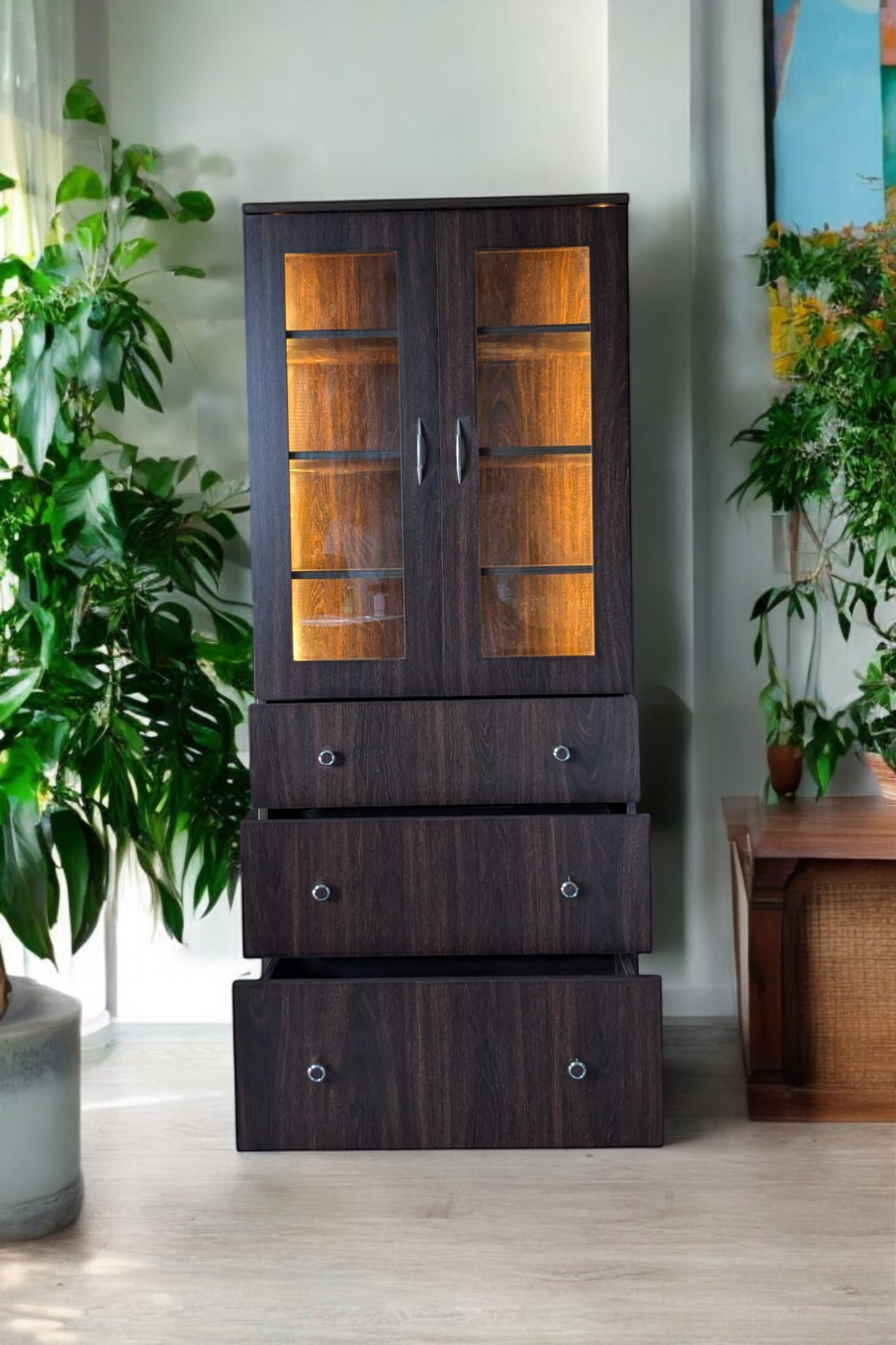 Show Case with Inbuilt LED