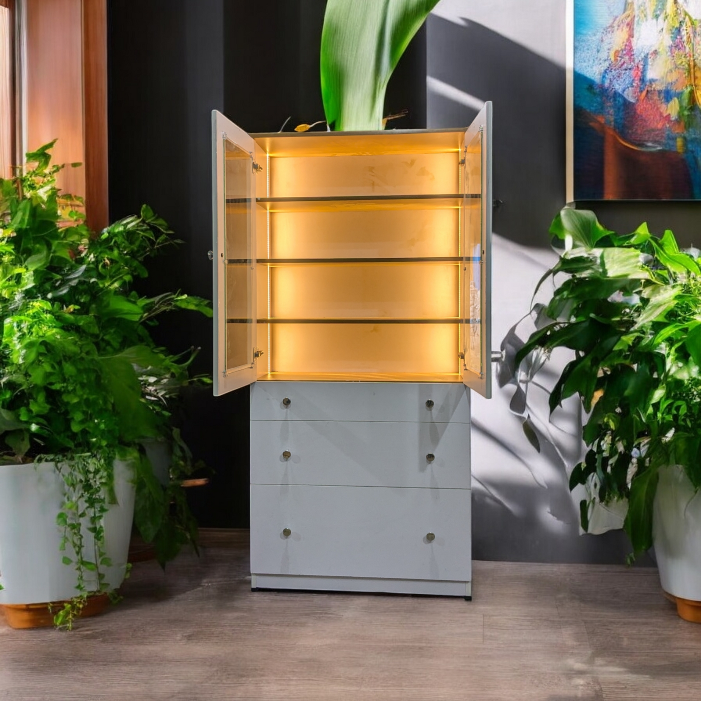 Show Case with Inbuilt LED