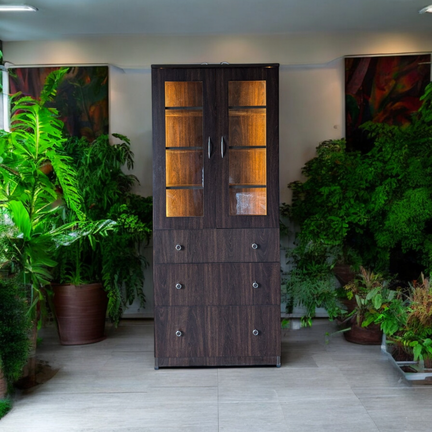 Show Case with Inbuilt LED