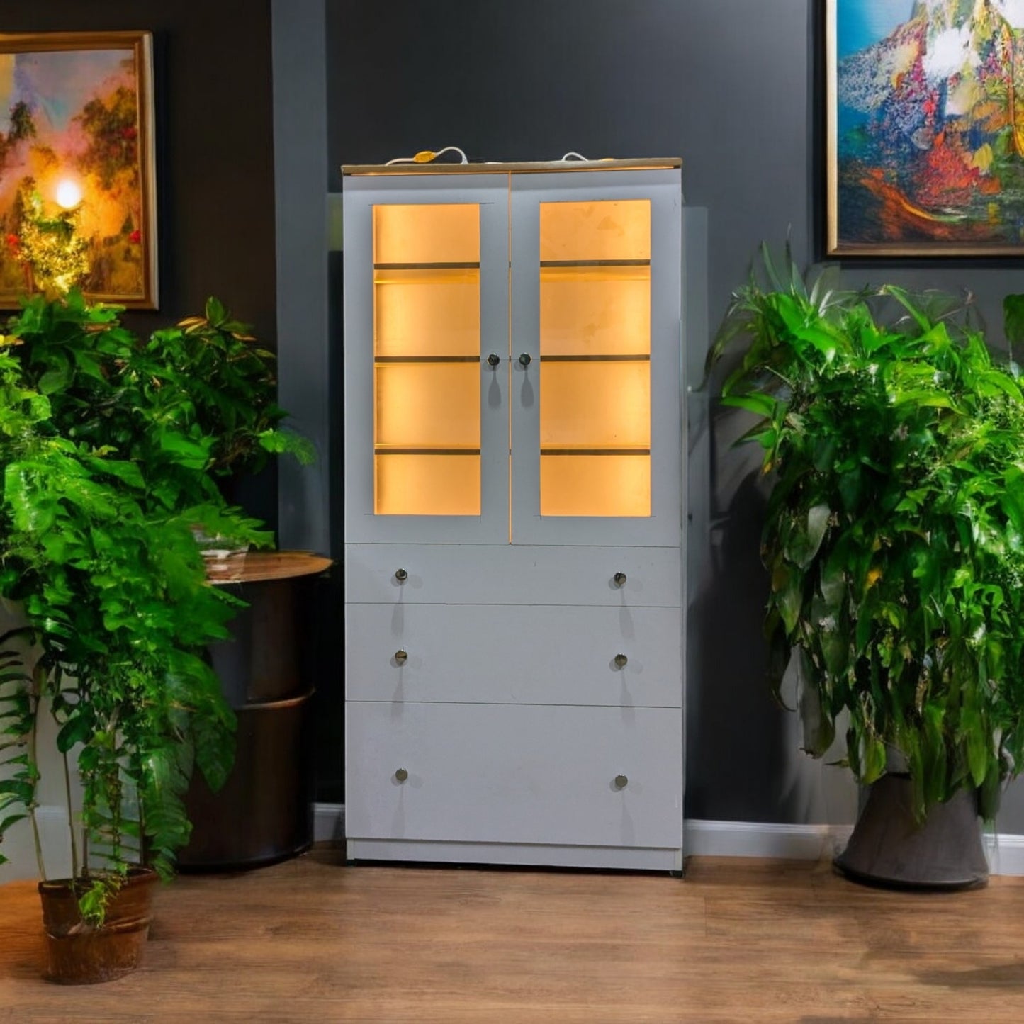 Show Case with Inbuilt LED